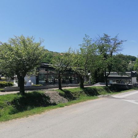 Koko Apartman Vrnjačka Banja Екстериор снимка