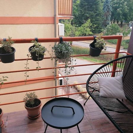 Koko Apartman Vrnjačka Banja Екстериор снимка