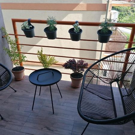 Koko Apartman Vrnjačka Banja Екстериор снимка