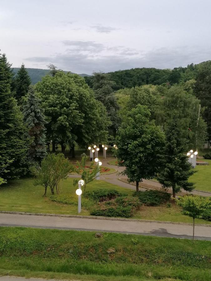 Koko Apartman Vrnjačka Banja Екстериор снимка