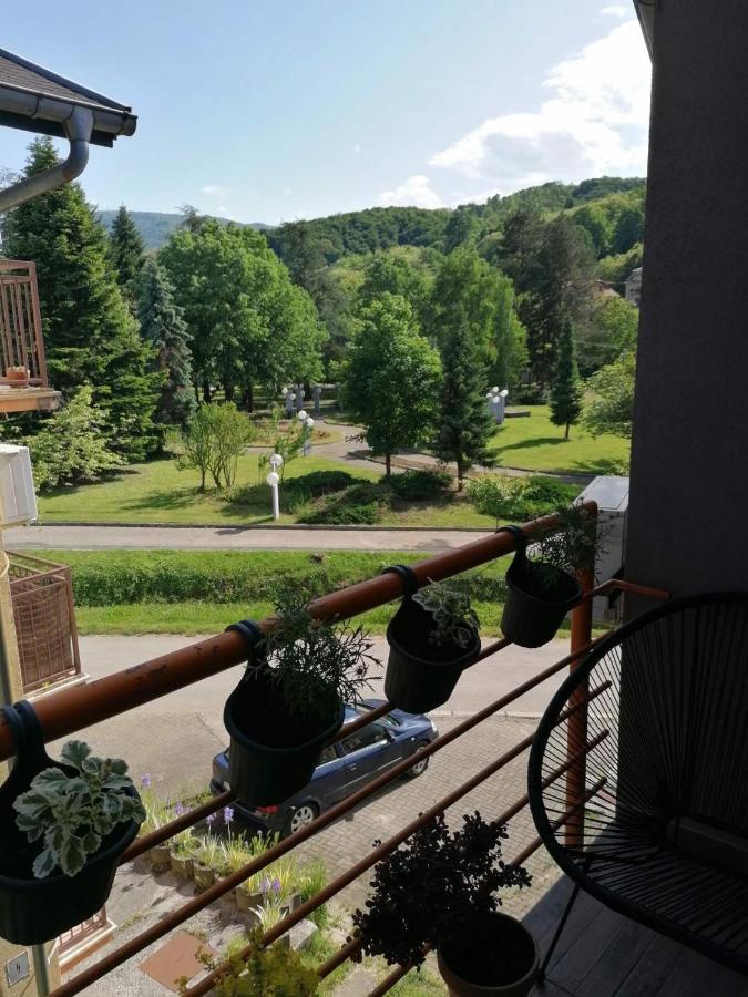 Koko Apartman Vrnjačka Banja Екстериор снимка
