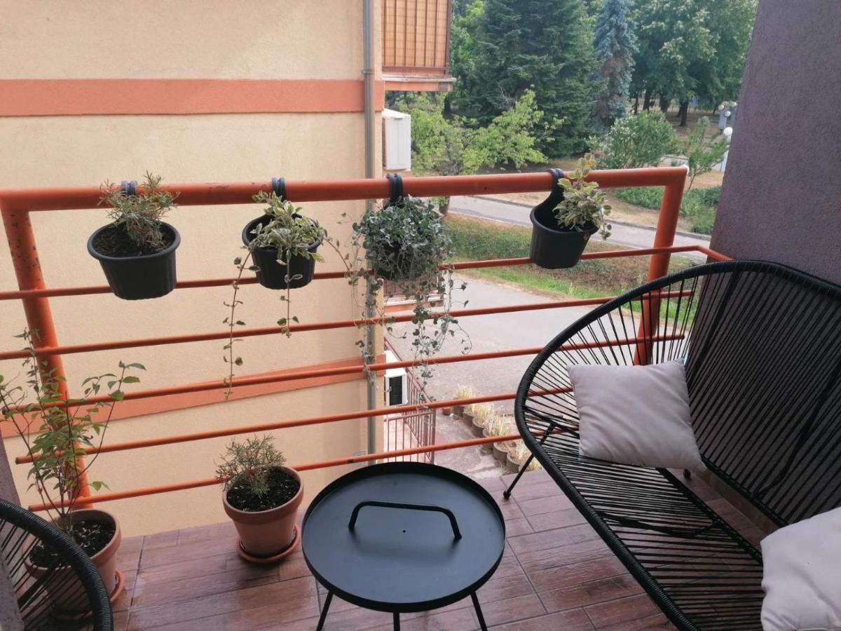 Koko Apartman Vrnjačka Banja Екстериор снимка